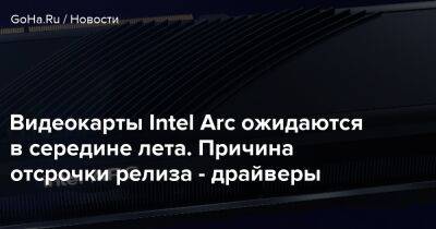 Видеокарты Intel Arc ожидаются в середине лета. Причина отсрочки релиза - драйверы - goha.ru