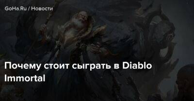 Почему стоит сыграть в Diablo Immortal - goha.ru