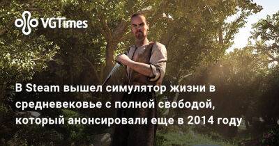 В Steam вышел симулятор жизни в средневековье с полной свободой, который анонсировали еще в 2014 году - vgtimes.ru