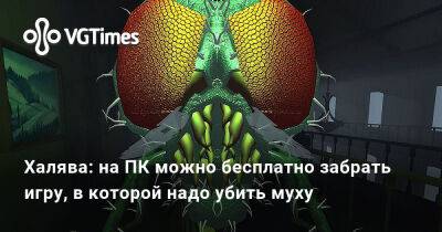 Халява: на ПК можно бесплатно забрать игру, в которой надо убить муху - vgtimes.ru
