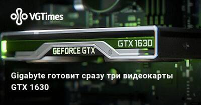 Gigabyte готовит сразу три видеокарты GTX 1630 - vgtimes.ru - Варшава - Российская Империя