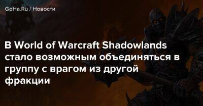 В World of Warcraft Shadowlands стало возможным объединяться в группу с врагом из другой фракции - goha.ru - county Real