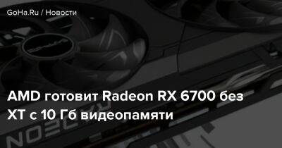 AMD готовит Radeon RX 6700 без XT с 10 Гб видеопамяти - goha.ru