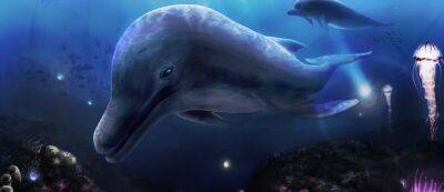Mega Drive - SEGA обещает громкую мировую премьеру — фанаты считают, что она готовит возвращение серии Ecco the Dolphin - gamemag.ru - Япония