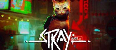 Рыжий котик исследует канализацию и раскидывает бутылки в новом геймплейном видео Stray - gamemag.ru
