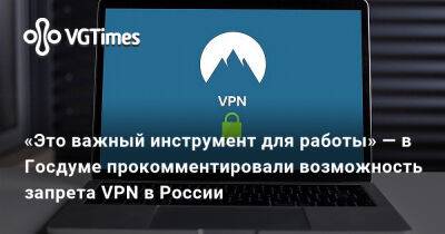Антон Горелкин - «Это важный инструмент для работы» — в Госдуме прокомментировали возможность запрета VPN в России - vgtimes.ru - Россия