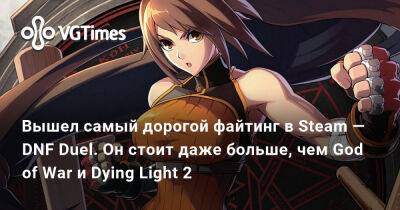 Вышел самый дорогой файтинг в Steam — DNF Duel. Он стоит даже больше, чем God of War и Dying Light 2 - vgtimes.ru - Россия