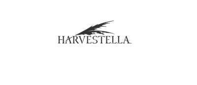Square Enix представила ролевую игру HARVESTELLA — она выйдет в этом году на Nintendo Switch и ПК - gamemag.ru