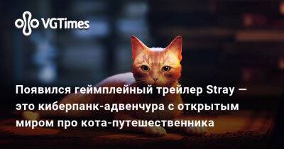 Появился геймплейный трейлер Stray — это киберпанк-адвенчура с открытым миром про кота-путешественника - vgtimes.ru