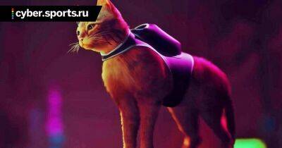 Трейлер игры про кота в мире киберпанка Stray – премьера 19 июля - cyber.sports.ru