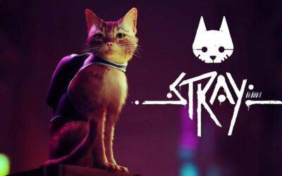 Стань котом в футуристическом городе. Приключение Stray выйдет в июле - gametech.ru - Южная Корея