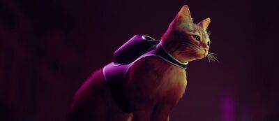 Стали известны системные требования Stray — в Steam игру про одинокого кота можно предзаказать за 630 рублей - gamemag.ru