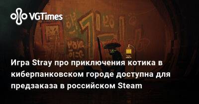 Игра Stray про приключения котика в киберпанковском городе доступна для предзаказа в российском Steam - vgtimes.ru - Россия