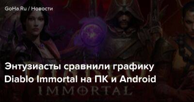 Энтузиасты сравнили графику Diablo Immortal на ПК и Android - goha.ru