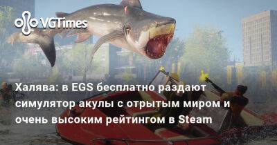 Халява: в EGS бесплатно раздают симулятор акулы с отрытым миром и очень высоким рейтингом в Steam - vgtimes.ru - Москва