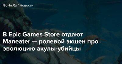 В Epic Games Store отдают Maneater — ролевой экшен про эволюцию акулы-убийцы - goha.ru