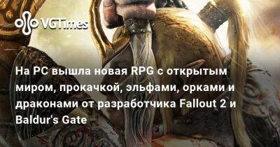 Крис Авеллон (Chris Avellone) - На PC вышла новая RPG с открытым миром, прокачкой, эльфами, орками и драконами от разработчика Fallout 2 и Baldur's Gate - vgtimes.ru