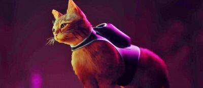 Официально: Игра Stray про бродячего кота выйдет с переводом на русский язык - gamemag.ru