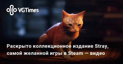 Александра Гре - Раскрыто коллекционное издание Stray, самой желанной игры в Steam — видео - vgtimes.ru