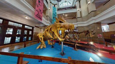 Pokémon Fossil Museum Virtual Tour laat je het museum zelf doorlopen - ru.ign.com - city Tokyo