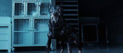 Альберт Вескер - Вильям Вескер - Голографический мишка и злая собака в новом отрывке сериала Resident Evil от Netflix - gamemag.ru