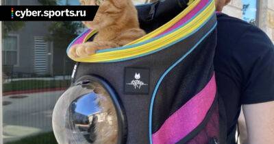 Для игры про кота Stray выйдет мерч – рюкзак-переноска, поводок и шлейка - cyber.sports.ru