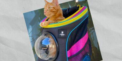 Stray и Travel Cat запускают рюкзак для кошек, чтобы вы могли путешествовать со своим питомцем в реальной жизни - playground.ru - Сша