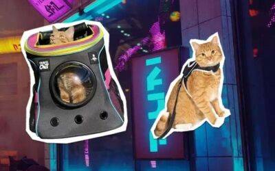 Создатели Stray выпустят специальный рюкзак для кошки - gametech.ru