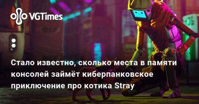 Стало известно, сколько места в памяти консолей займёт киберпанковское приключение про котика Stray - vgtimes.ru