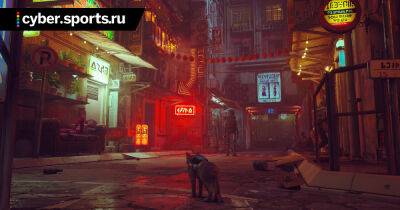 Первые оценки игры про кота Stray на Metacritic – 84/100 - cyber.sports.ru