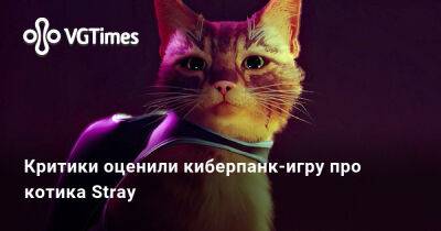 Критики оценили киберпанк-игру про котика Stray - vgtimes.ru