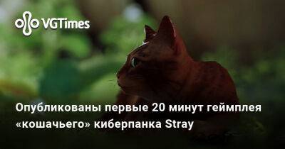 Ада Вонг - Опубликованы первые 20 минут геймплея «кошачьего» киберпанка Stray - vgtimes.ru