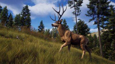 Авторы Way of the Hunter показали игровой процесс охотничьего приключения - igromania.ru - Сша