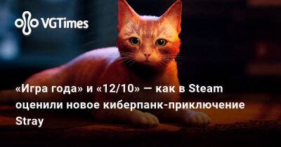 «Игра года» и «12/10» — как в Steam оценили новое киберпанк-приключение Stray - vgtimes.ru