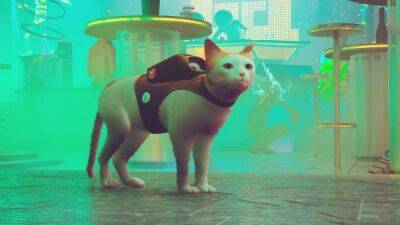 Милого рыжего кота в Stray очень легко изменить с помощью модов - playground.ru