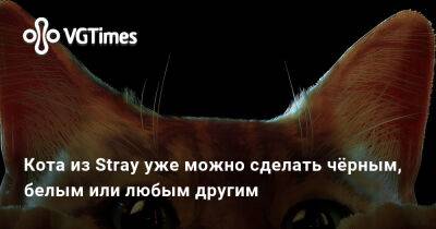 Кота из Stray уже можно сделать чёрным, белым или любым другим - vgtimes.ru