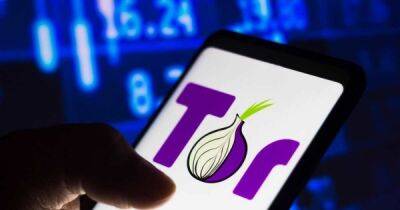 В России снова доступен сайт The Tor Project - playground.ru - Россия