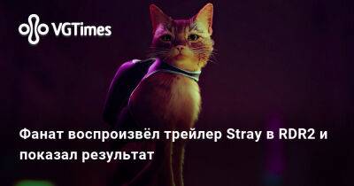 Фанат воспроизвёл трейлер Stray в RDR2 и показал результат - vgtimes.ru