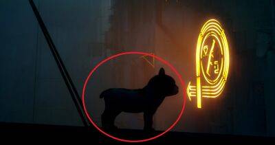 Игроки в Stray меняют расцветку котика, заменяют его на собаку и заставляют героя орать «Джейсон!» из Heavy Rain - gametech.ru