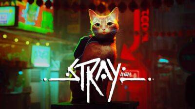 Stray стала самой высокооценённой игрой года в Steam - playground.ru