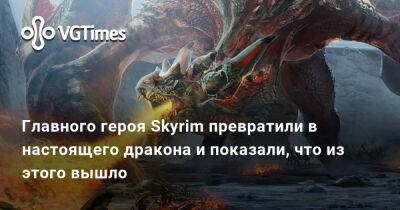 Главного героя Skyrim превратили в настоящего дракона и показали, что из этого вышло - vgtimes.ru - Россия