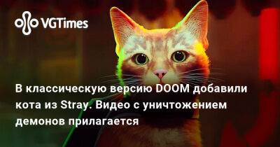 Ада Вонг - В классическую версию DOOM добавили кота из Stray. Видео с уничтожением демонов прилагается - vgtimes.ru