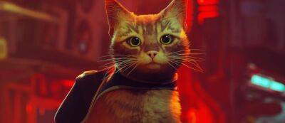 Котик из игры Stray истребляет демонов в модификации для DOOM - gamemag.ru