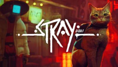 Stray страла самой высокооцененной игрой в Steam с начала года, обойдя God of War - fatalgame.com