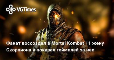 Фанат воссоздал в Mortal Kombat 11 жену Скорпиона и показал геймплей за нее - vgtimes.ru
