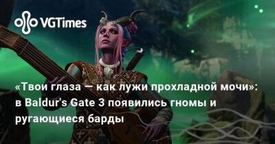 Larian Studios - «Твои глаза — как лужи прохладной мочи»: в Baldur's Gate 3 появились гномы и ругающиеся барды - vgtimes.ru