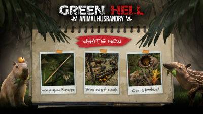 Green Hell - В Green Hell вышло обновление Animal Husbandry с возможностью вырастить питомца - lvgames.info - Польша