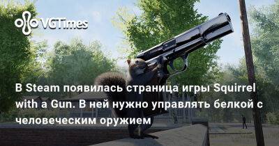 В Steam появилась страница игры Squirrel with a Gun. В ней нужно управлять белкой с человеческим оружием - vgtimes.ru