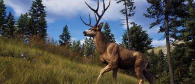 Основы охоты и красивая природа в трейлере игры Way of the Hunter - gamemag.ru - Китай