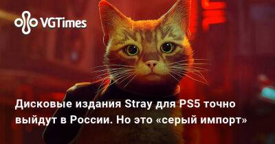 Дисковые издания Stray для PS5 точно выйдут в России. Но это «серый импорт» - vgtimes.ru - Россия